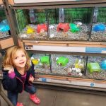 Petco