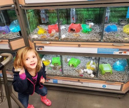 Petco