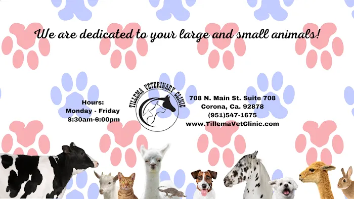 Tillema Veterinary Clinic Picture 1