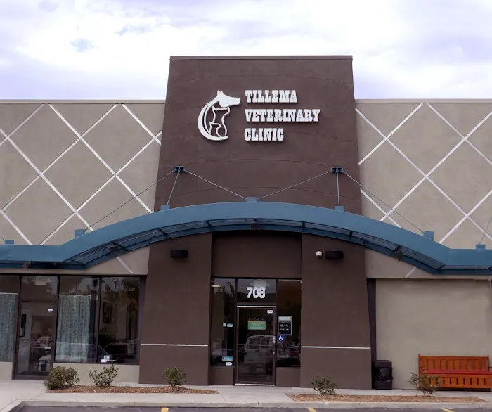 Tillema Veterinary Clinic Picture 2