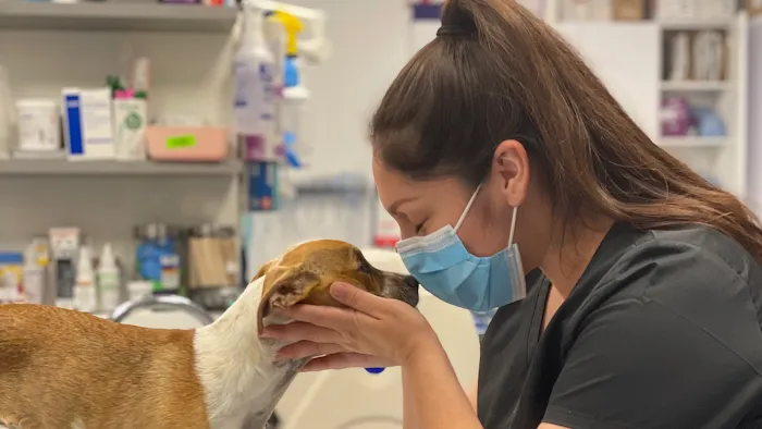 Corona Animal Emergency Center Picture 7
