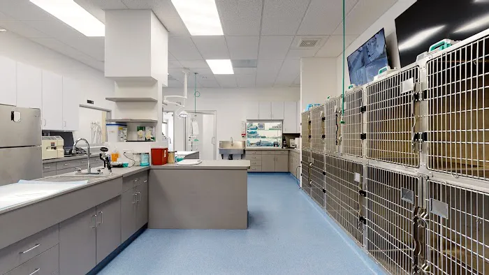 Corona Animal Emergency Center Picture 2