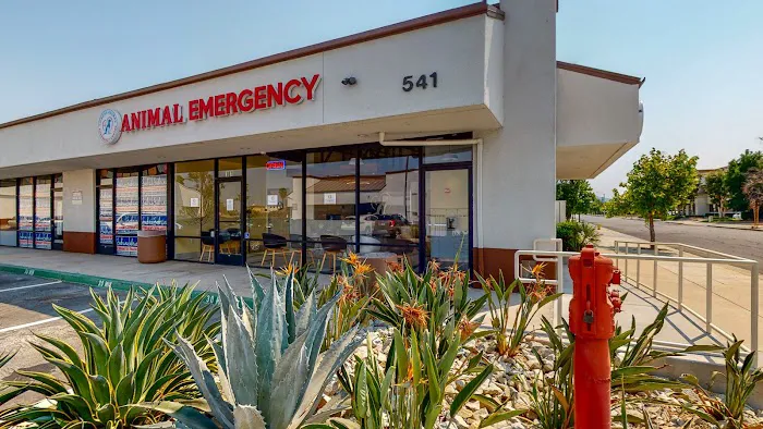 Corona Animal Emergency Center Picture 9
