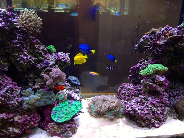 Creation of the Sea, LLC Picture 2