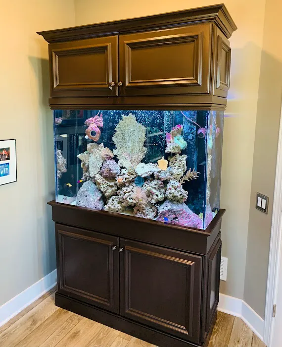 Creation of the Sea, LLC Picture 7