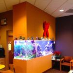 Creation of the Sea, LLC