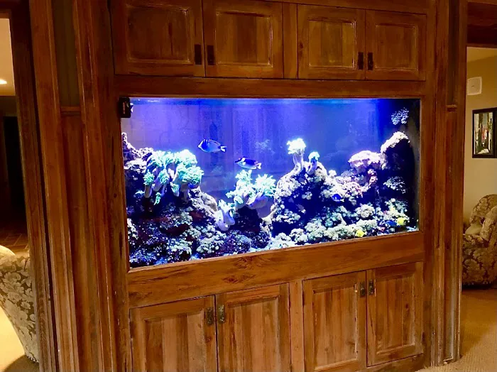 Creation of the Sea, LLC Picture 9