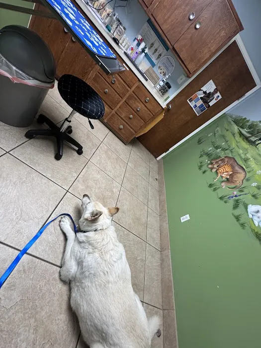 Corona Animal Hospital Picture 3