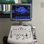 Corona Animal Hospital