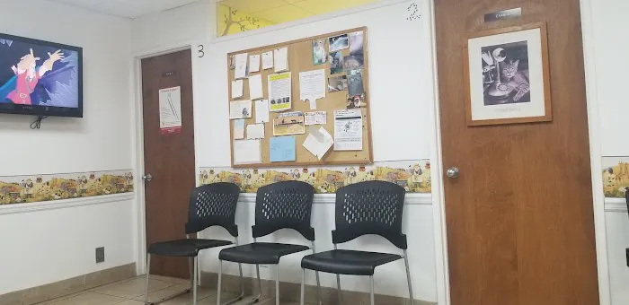 Corona Animal Hospital Picture 2