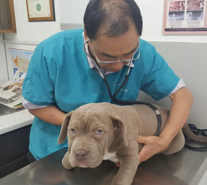 Center-La Sierra Pet Clinic Picture 3