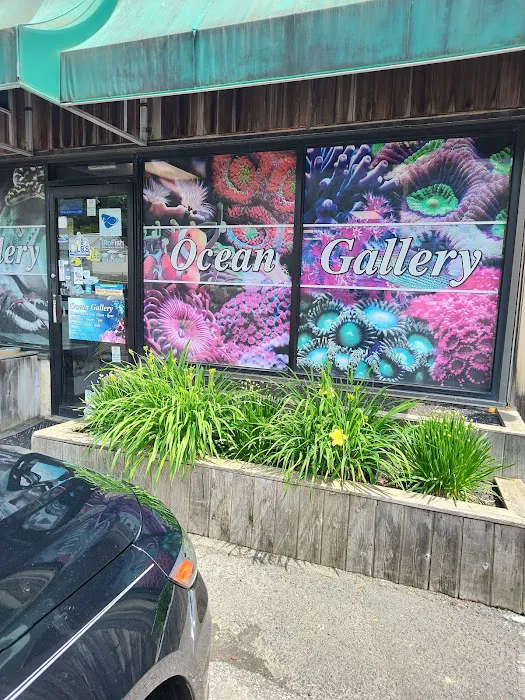 Ocean Gallery Picture 5