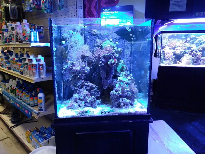 Ocean Gallery Picture 2