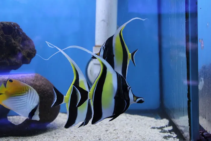 Ocean Gallery Picture 10