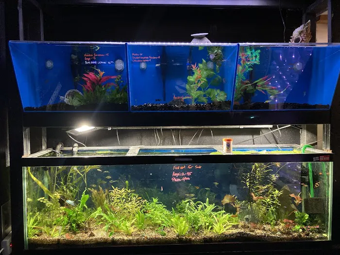Ocean Gallery Picture 3