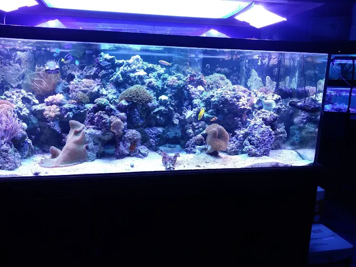 Ocean Gallery Picture 1