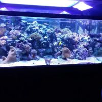 Ocean Gallery ico