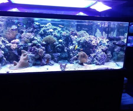 Ocean Gallery