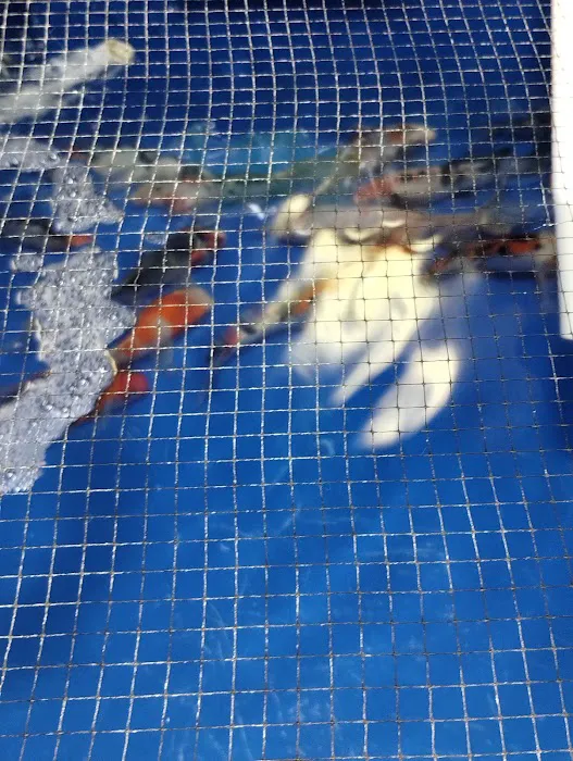 Ocean Gallery Picture 8