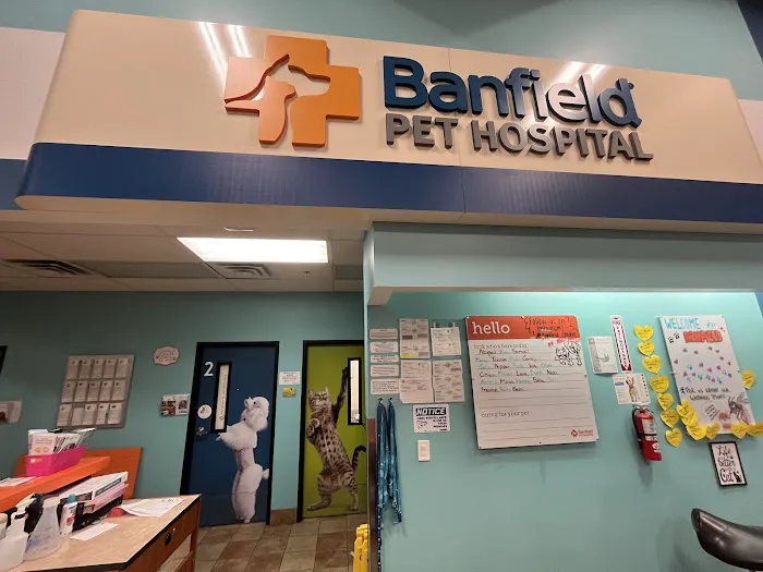 Banfield Pet Hospital Picture 3