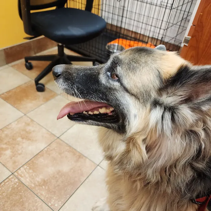 Banfield Pet Hospital Picture 6