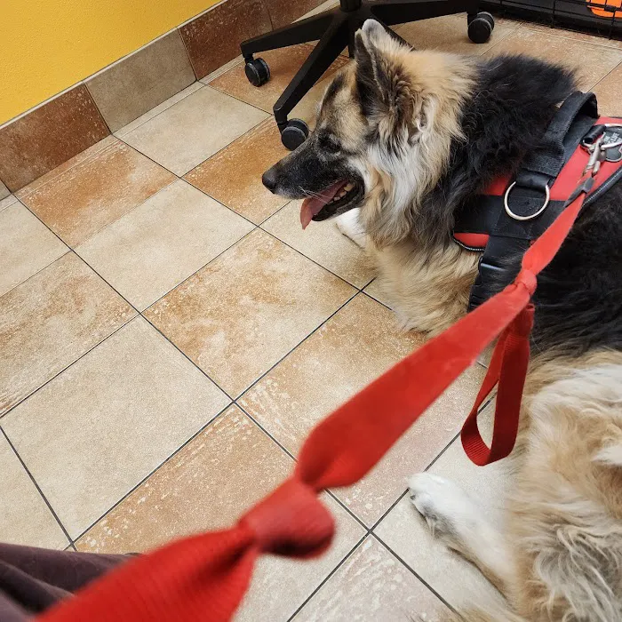 Banfield Pet Hospital Picture 8