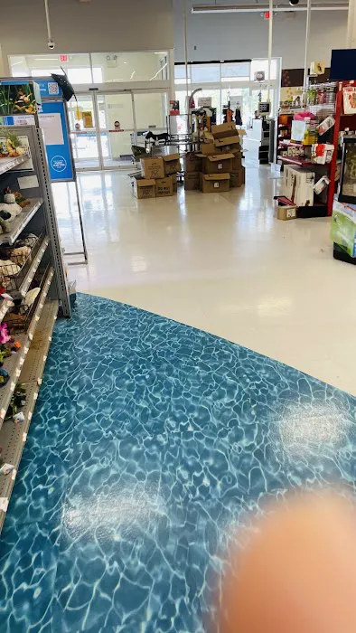 Petco Picture 3