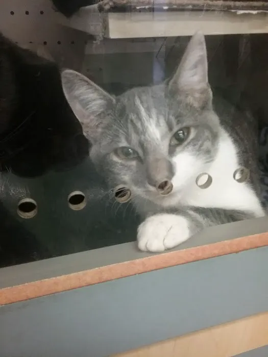Petco Picture 6