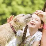 Animal Medical Center of Corona