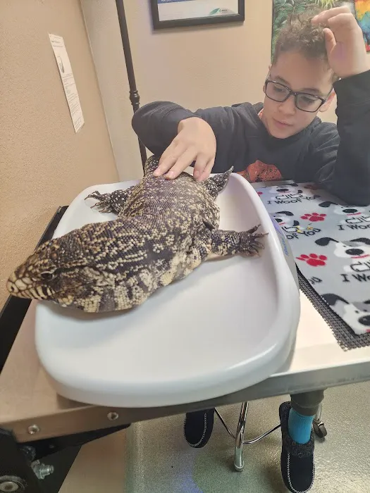 Animal Medical Center of Corona Picture 8