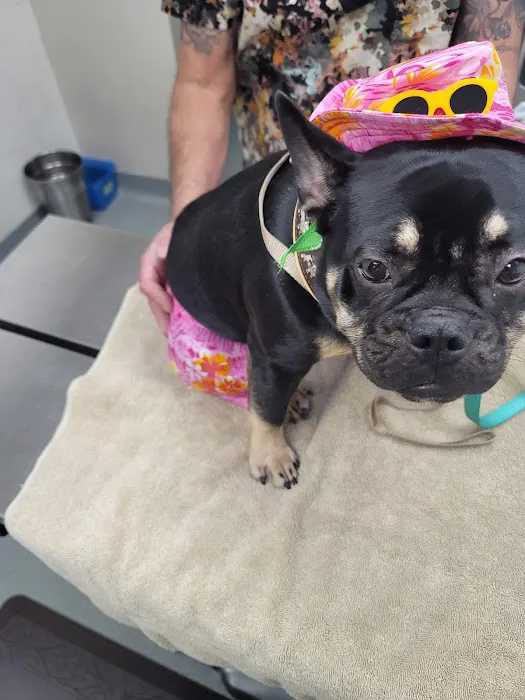 Animal Medical Center of Corona, Barton C. Huber, DVM, Dr. Bart Picture 2