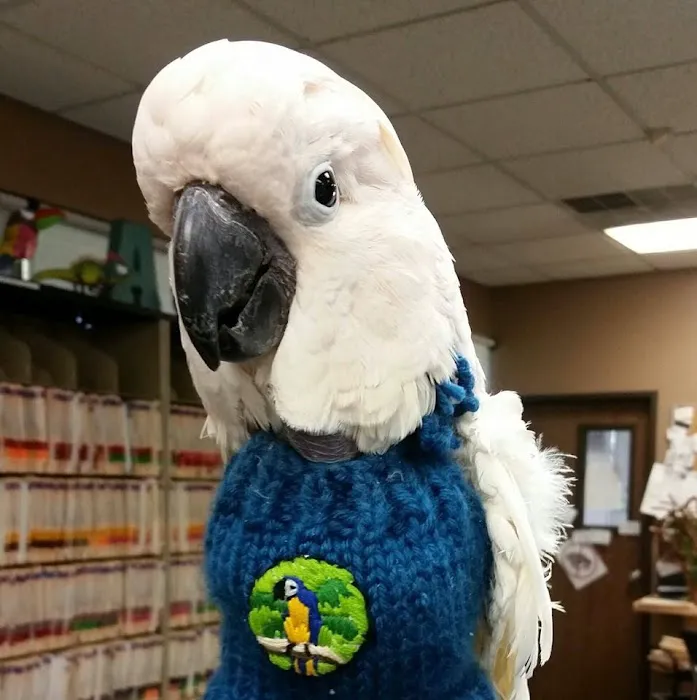 Animal Medical Center of Corona, Barton C. Huber, DVM, Dr. Bart Picture 8