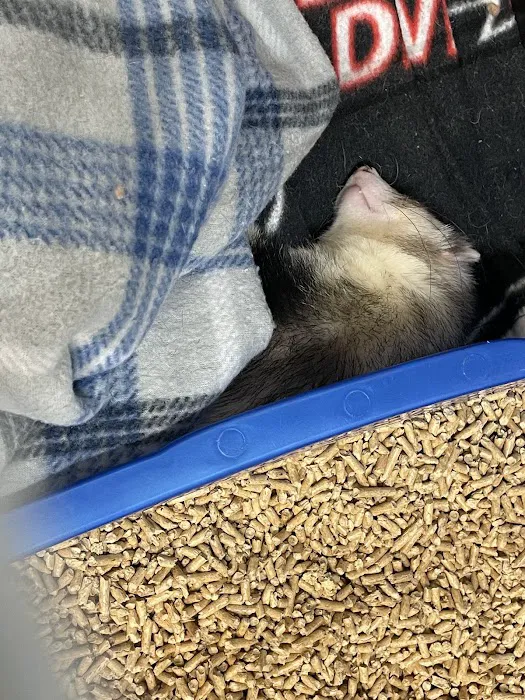 Katie's Pet Depot Picture 7