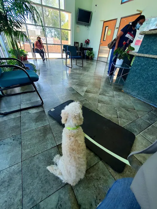 Fontana Animal Hospital Picture 9