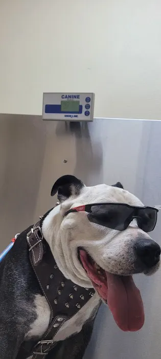 Fontana Animal Hospital Picture 3