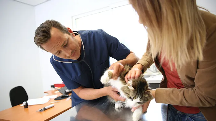 Fontana Animal Hospital Picture 1