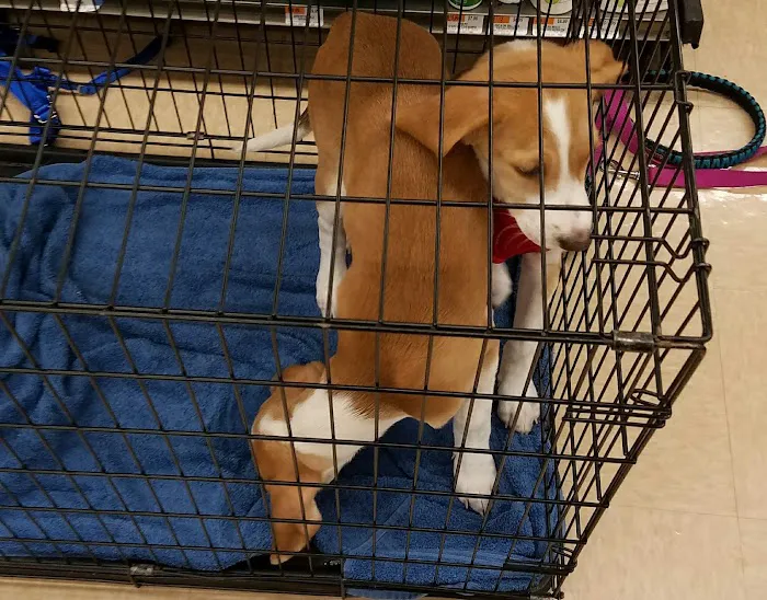 Petco Picture 10
