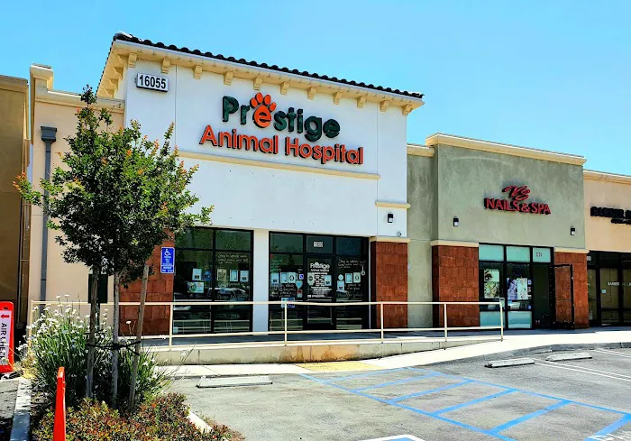 Prestige Animal Hospital - North Fontana Picture 5
