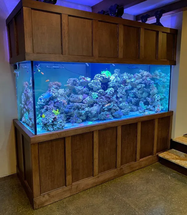 JK-Fish Picture 9