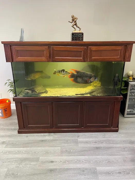 JK-Fish Picture 2
