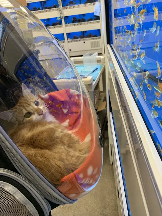 Petco Picture 4