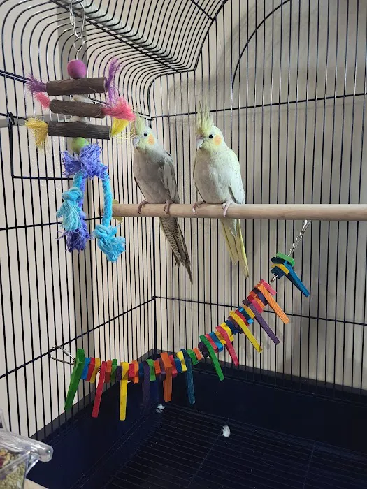 Petco Picture 1