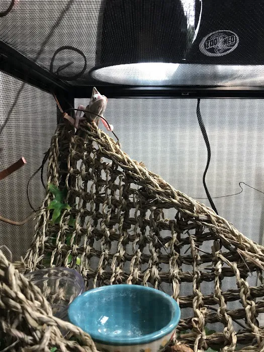 Petco Picture 10