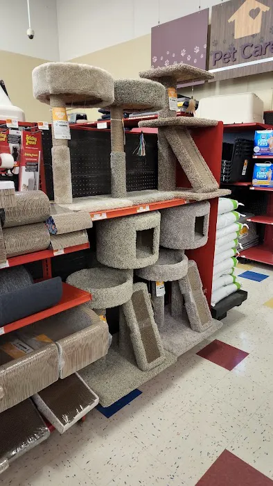 Petco Picture 8