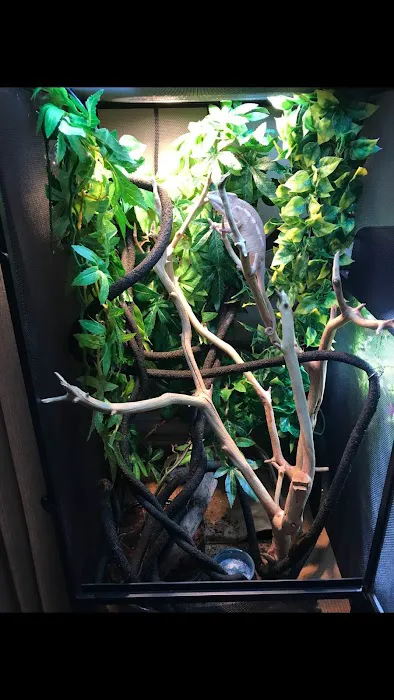 Mr Aquarium & Driftwood Picture 2