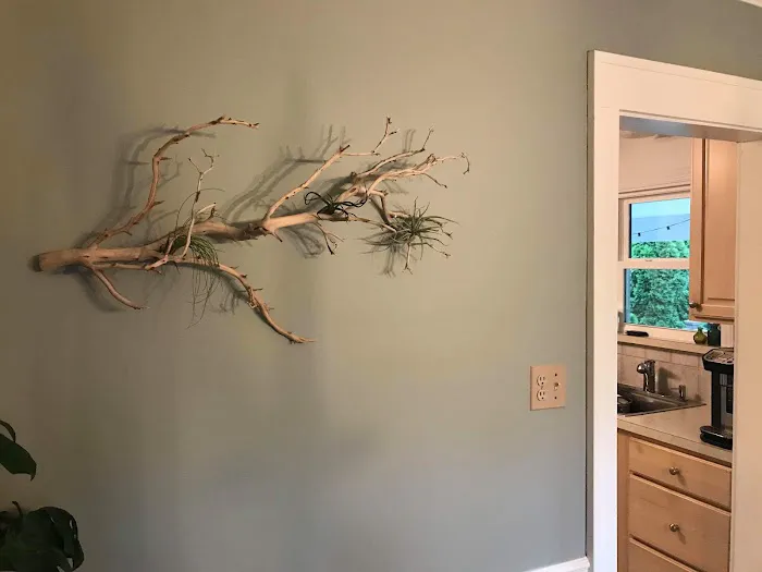 Mr Aquarium & Driftwood Picture 5