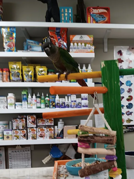 Arcadia Pets of Freehold Picture 1