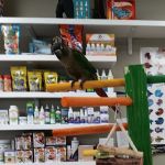 Arcadia Pets of Freehold