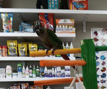 Arcadia Pets of Freehold