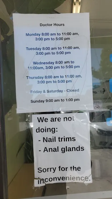 Animal Hospital Veterinarian Picture 5